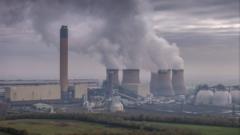 Key power station didn’t properly disclose burning forest wood