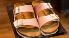 Birkenstock sandals are not art, says German court