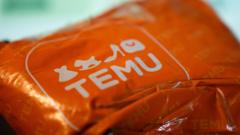Temu’s Chinese owner sees profits plunge as trade war bites