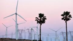 US green energy firms brace for federal funding cuts
