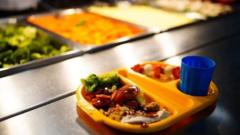 More pupils auto-enrolled for free school meals