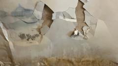 ‘Failings at every level’ resulted in botched insulation scheme, MPs told