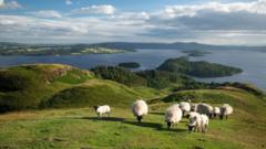 MSPs pass land reform which could force break up of huge estates