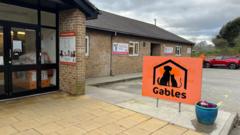Decline in adoption rates at Devon animal rescue