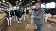 How many homes could be heated by cow poo?