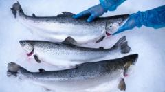 Bentleys and Scottish salmon to benefit from UK-South Korea trade deal