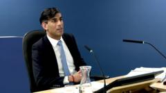 Sunak defends Covid loan scheme over excessive fraud claims