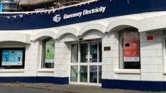 Electricity price rises a concern, survey suggests