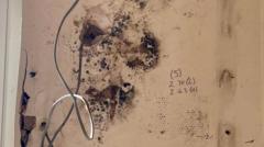 Botched insulation scheme was ‘doomed to fail’, say MPs
