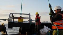 How £50m ‘fish disco’ could save farmland