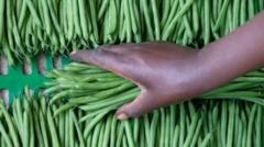 The two farms in Senegal that supply many of the UK’s vegetables