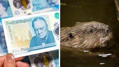 Banknotes, beavers and a very British backlash
