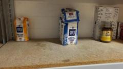 Food bank stocks ‘low as client numbers increase’