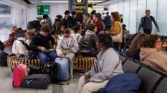 Flight chaos caused by software defect, says air traffic control body